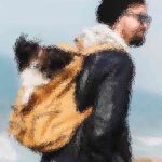 Featured image placeholder 16:9