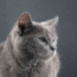 Featured image placeholder 16:9